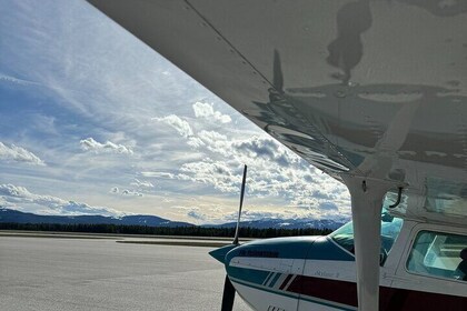 Earthquake Lake 30 Minute Aerial Tour in West Yellowstone