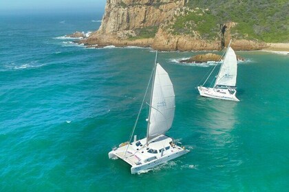 Knysna Sunset Sailing Cruise with captain's steak Braai & Bubbly