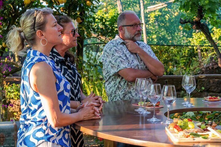 Wine Tasting Overlooking the Sea in a Lemon Grove at Sorrento