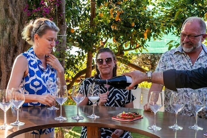 Wine Tasting Overlooking the Sea in a Lemon Grove at Sorrento