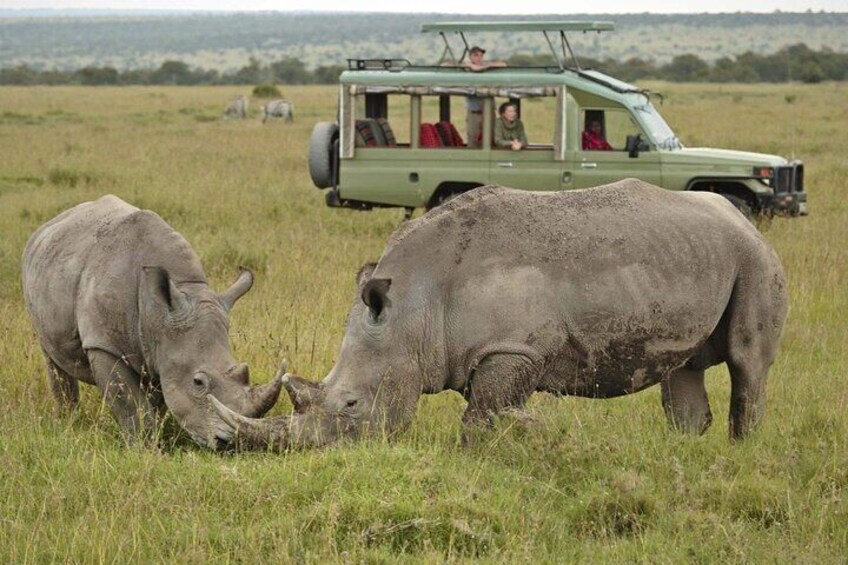 Private Day Tour to Olpajeta Conservancy