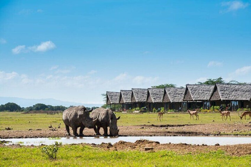 Private Day Tour to Olpajeta Conservancy