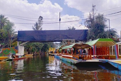 Xochimilco - Coyoacán. PRIVATE TOUR in a van for 1 - 6 people.