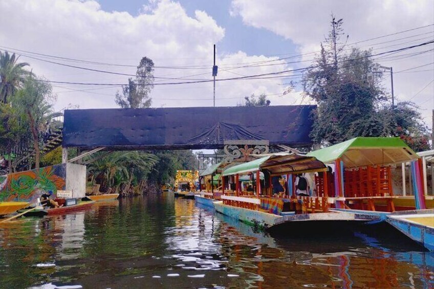 Private trajinera tour through Xochimilco and hike through Coyoacán.