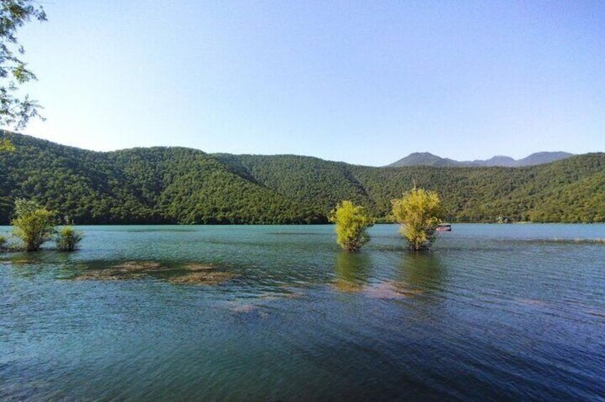 From Baku Gabala and Shamakhi Day Trip All Inclusive