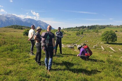 One day cheese making and tasting experience