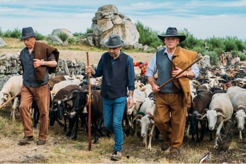 From Porto - Serra de Montemuro Shepherd's Trail Tour