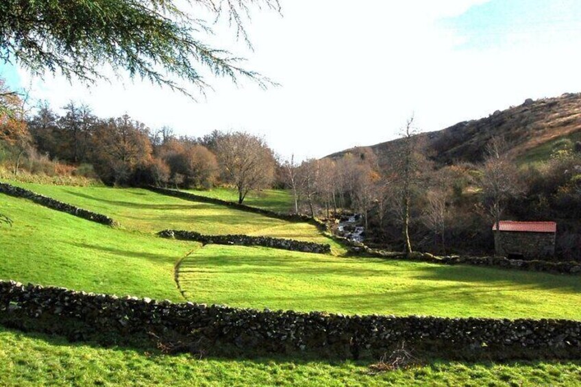 From Porto - Serra de Montemuro Shepherd's Trail Tour