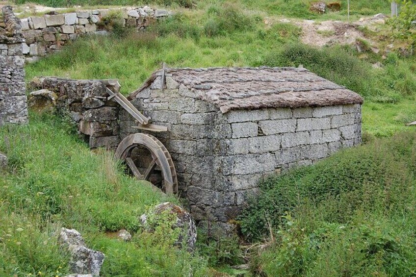 From Porto - Serra de Montemuro Shepherd's Trail Tour