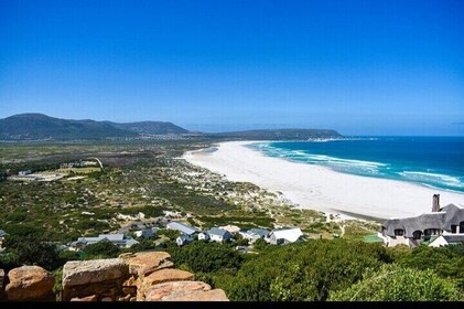 Private Cape Peninsula Table Mountain Penguin Colony Boulders