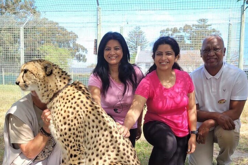 Cheetah Outreach
