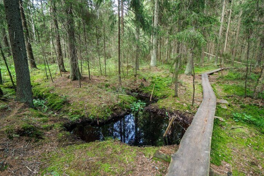 Private Guided Half Day Hiking Tour to Nuuksio National Park