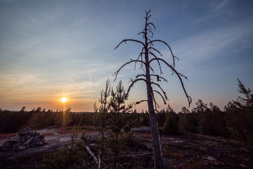 Private Guided Half Day Hiking Tour to Nuuksio National Park