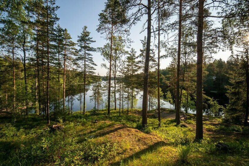 Private Guided Half Day Hiking Tour to Nuuksio National Park