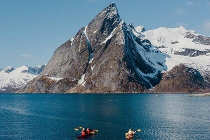 Explore Reinefjord by kayak (3 hours)