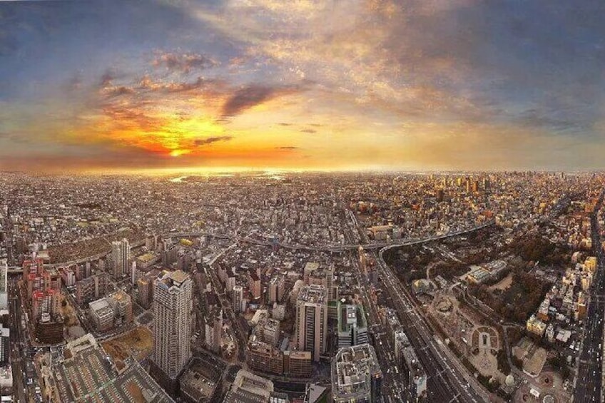 Gain panoramic views of Osaka's cityscape