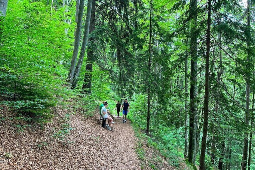 Waterfalls Tour from Sarajevo: Hike and Traditional Bosnian Lunch