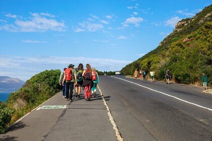 Muizenberg Indigenous Tour