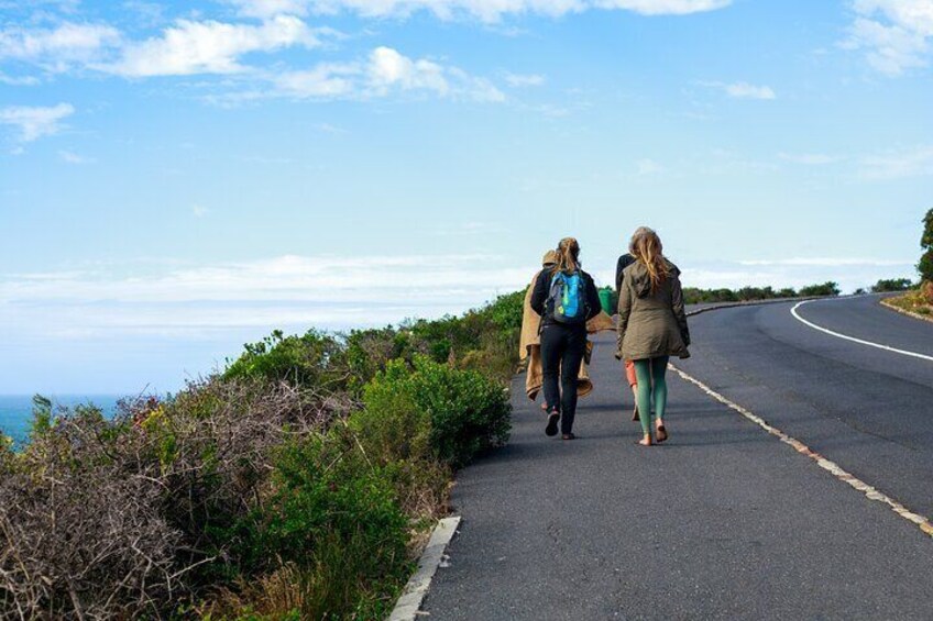 Walking along Boyce Drive offers incredible 360 views of the False Bay Coast Line