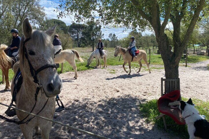 Horseback riding on Melides Beach