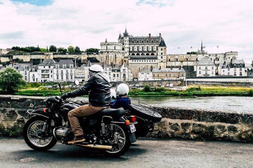 Private day trip from Amboise