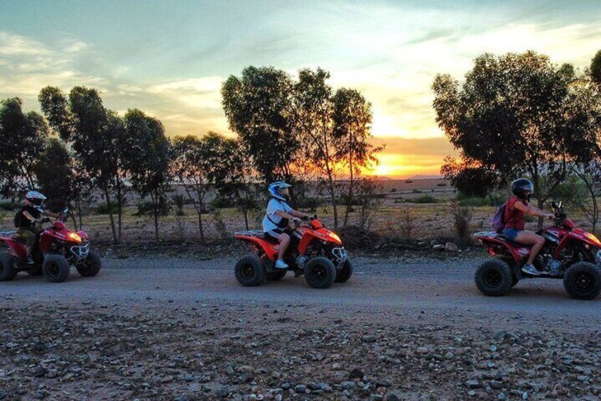 Marrakech: Quad excursion in the Palmeraie + Moroccan tea