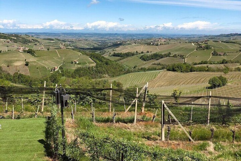 Barolo & CO: visit and tasting