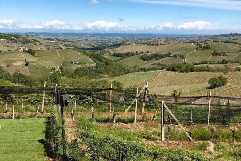 Barolo & CO: visit and tasting