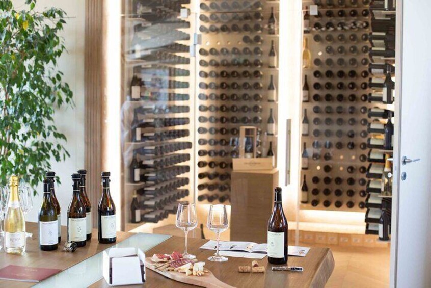 Barolo & CO: visit and tasting