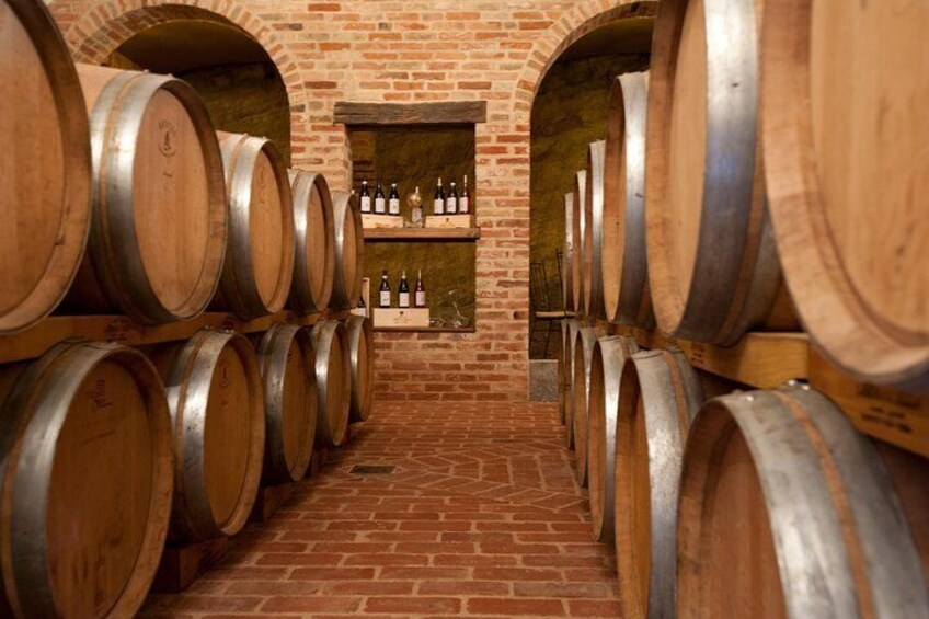 Barolo & CO: visit and tasting