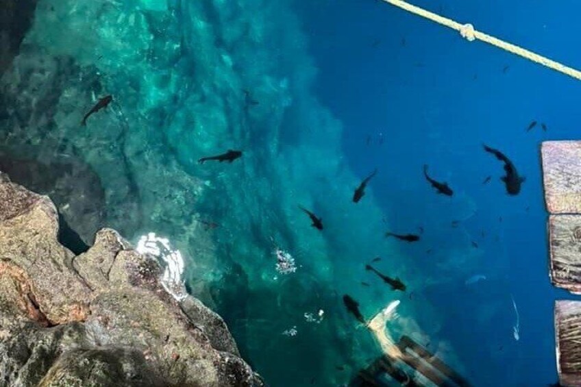 Cenote Actun