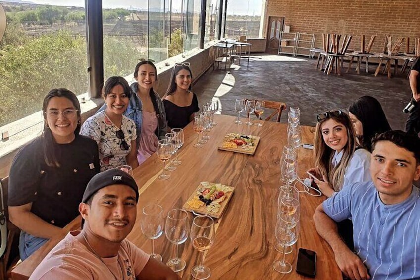 Visit winery, vineyard and tasting with aperitif in San José Lavista