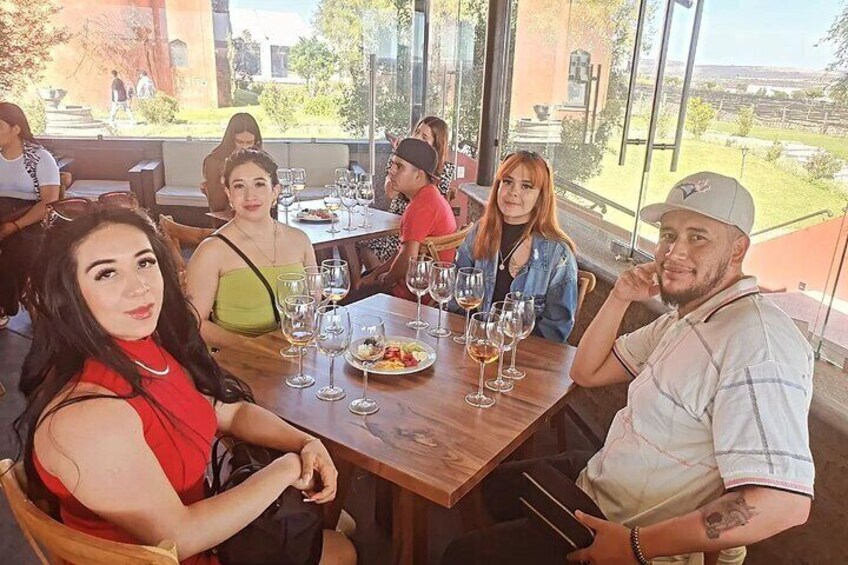 Visit winery, vineyard and tasting with aperitif in San José Lavista