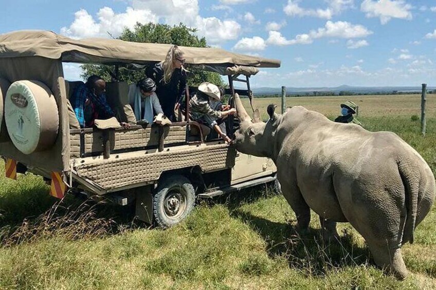 2 Days Solio Ranch Luxury Safari by 4x4 Land Cruiser Jeep