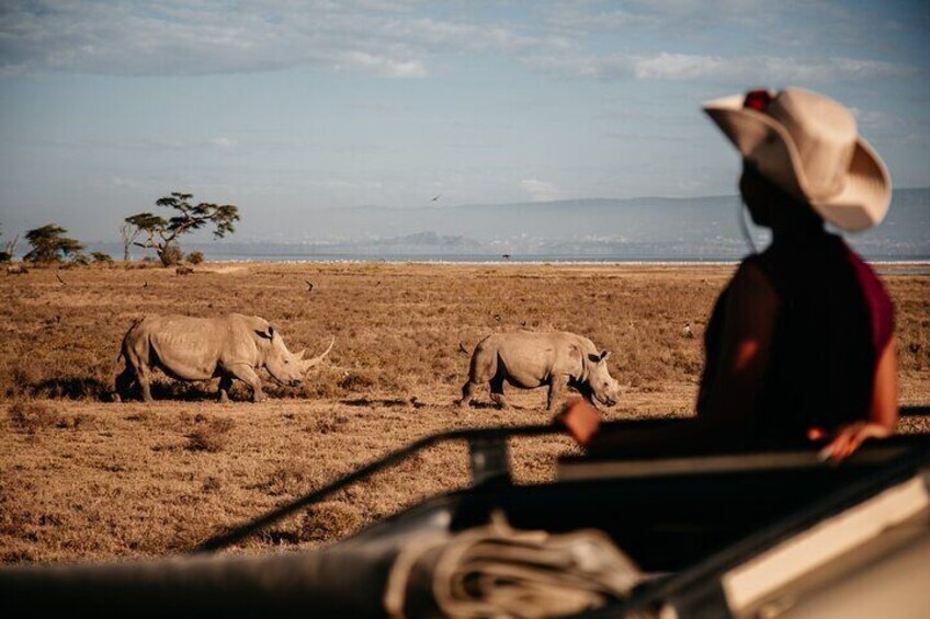 2 Days Solio Ranch Luxury Safari by 4x4 Land Cruiser Jeep