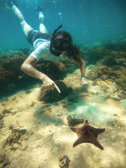 All-inclusive snorkel & sea lions in Balandra, La Paz