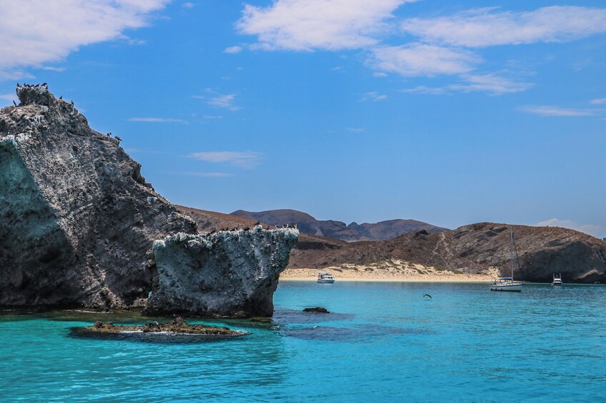 All-inclusive snorkel & sea lions in Balandra, La Paz