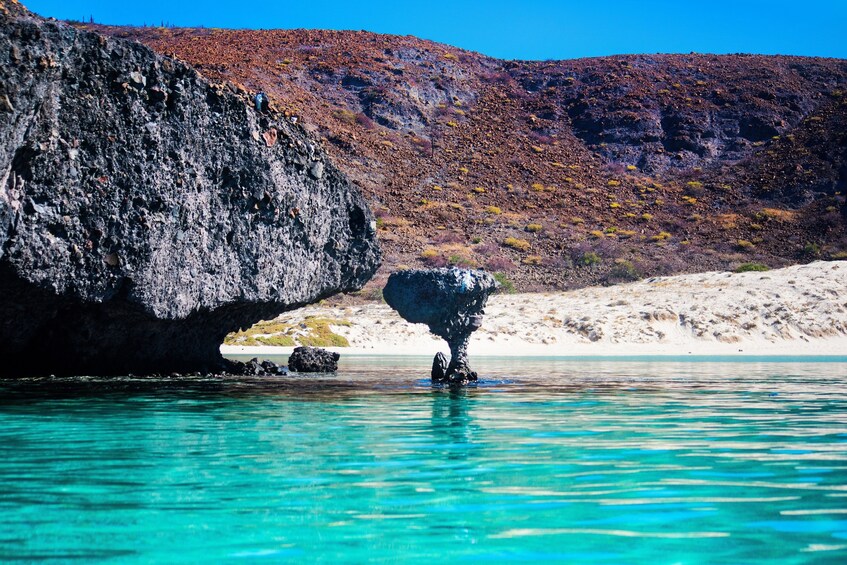 All-inclusive snorkel & sea lions in Balandra, La Paz