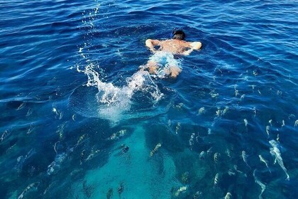 Half Day Roatan Private Tour