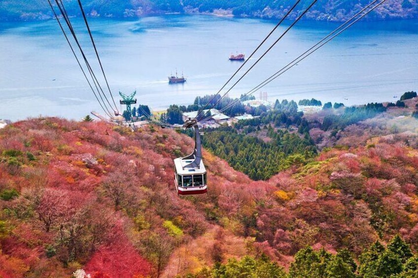 Hakone Ropeway