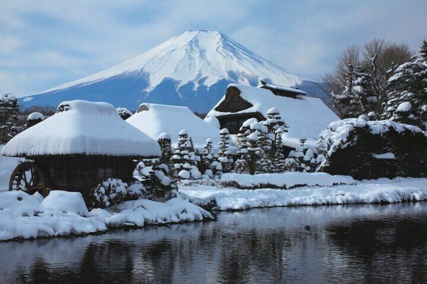 Mt. Fuji Sightseeing and Cruise Day tour From SHINJUKU