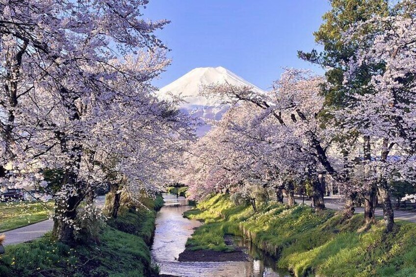 Mt. Fuji Sightseeing and Cruise Day tour From SHINJUKU