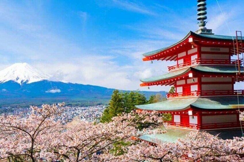 Mt. Fuji Sightseeing and Cruise Day tour From SHINJUKU