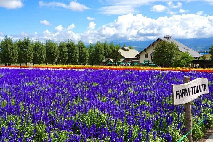 Hokkaido Furano Tomita Farm Tour With Eat Melon Option