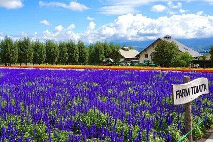 Hokkaido Furano Tomita Farm Tour with Eat Melon Option