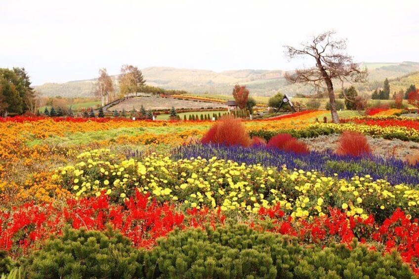 Hokkaido Furano Tomita Farm Tour With Eat Melon Option