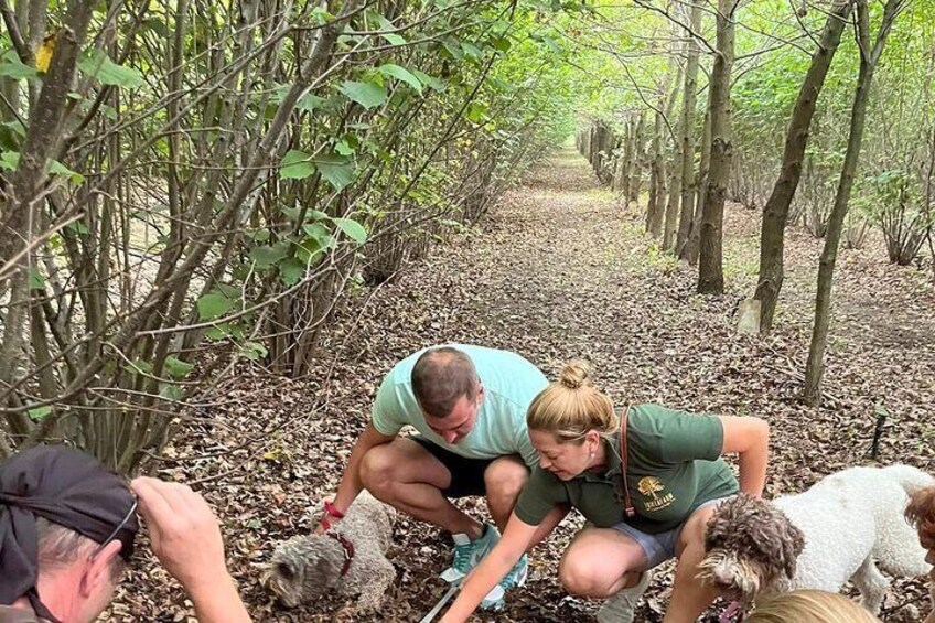 Truffle Hunting and Culinary Adventure
