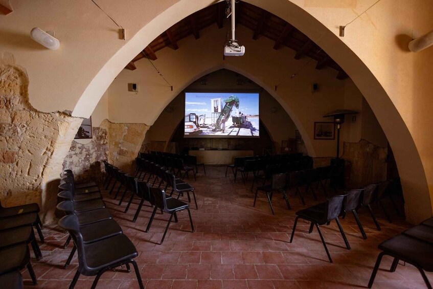 Picture 4 for Activity Marsala: Guided Salt Pans Walk Tour with Windmill Visit