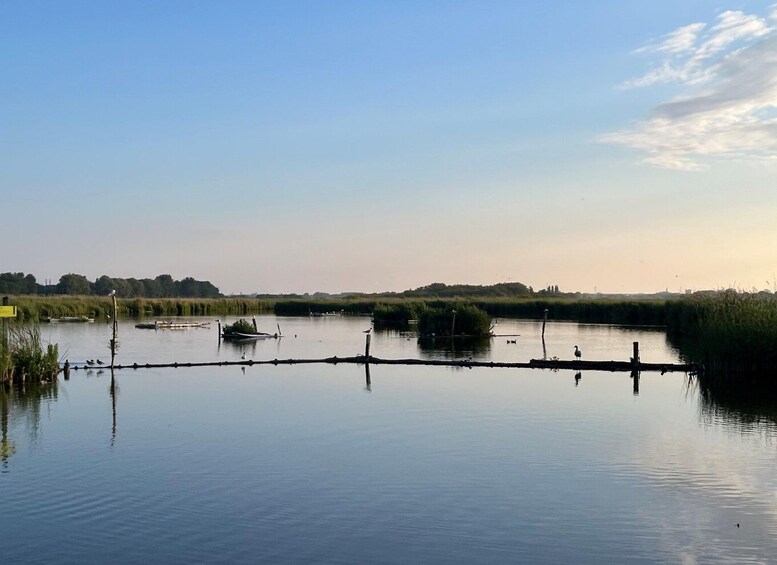 Picture 3 for Activity Rotterdam: green heart Midden-Delfland: Luxury Boat Tour