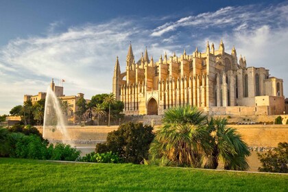 Paguera or Santa Ponsa: Speedboat Cruise to Palma